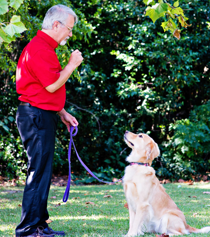 Aiken Pet Resources